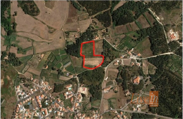 Terreno para Venda em Ericeira Foto 11