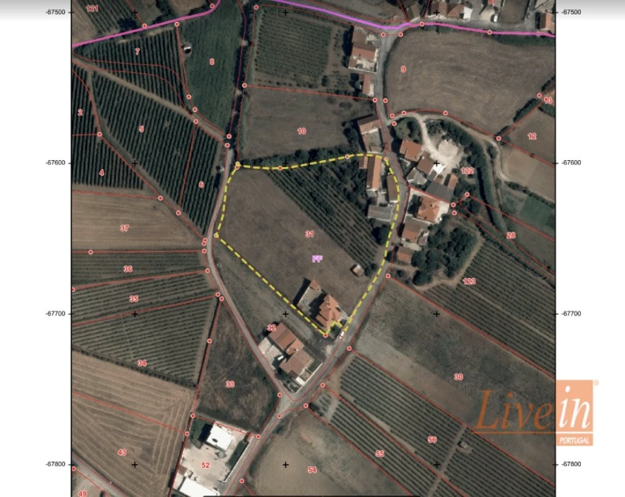 Terreno para Venda em Freiria Foto 2