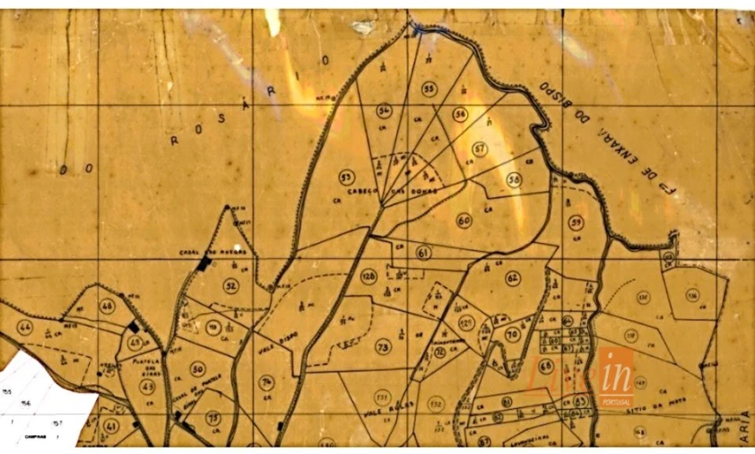 Terreno para Venda em Milharado Foto 3