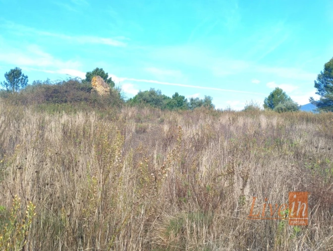 Terreno para Venda em Abrigada e Cabanas de Torres Foto 4
