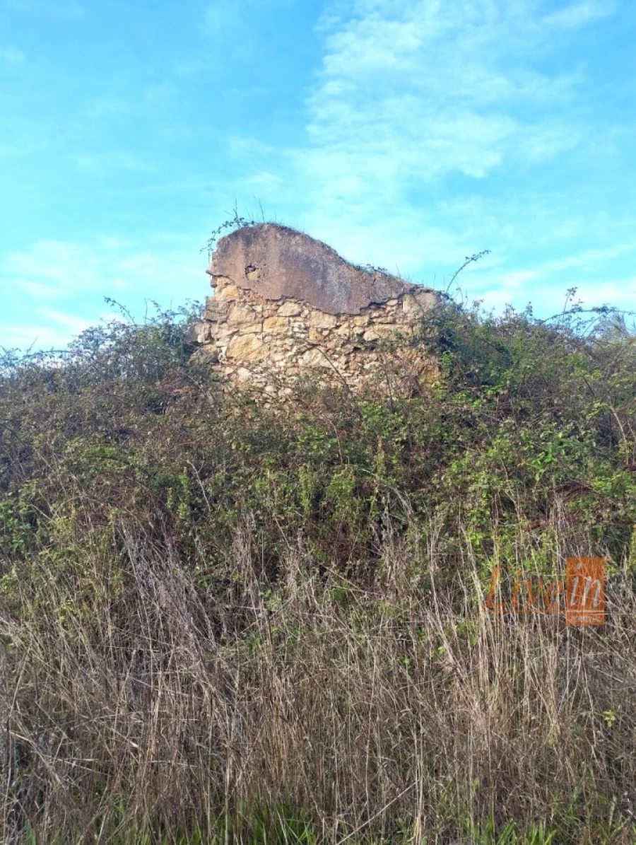 Terreno para Venda em Abrigada e Cabanas de Torres Foto 6