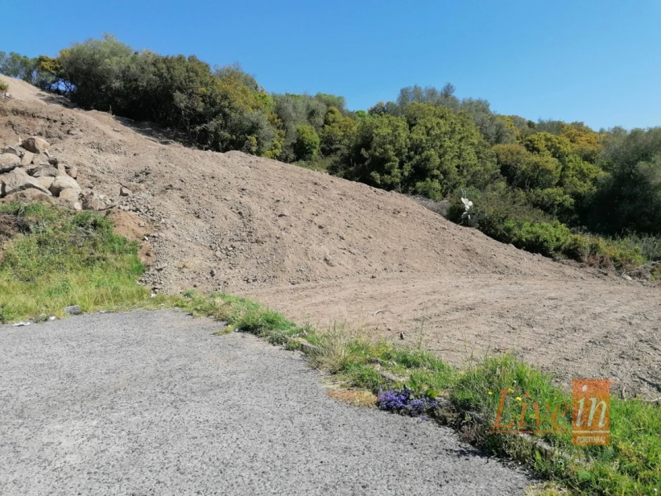 Terreno para Venda em Santa Maria e São Miguel, São Martinho, São Pedro Penaferrim Foto 5