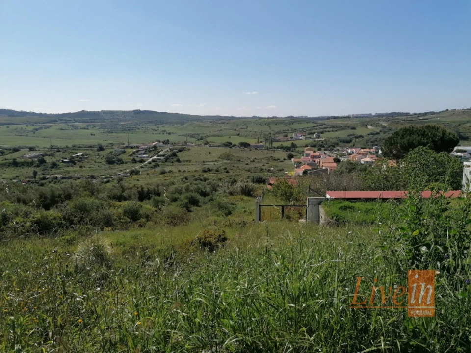 Terreno para Venda em Santa Maria e São Miguel, São Martinho, São Pedro Penaferrim Foto 3