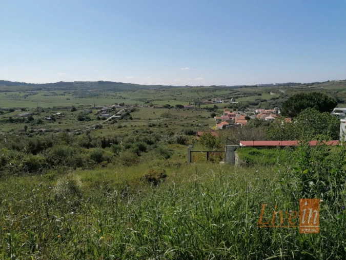 Terreno para Venda em Santa Maria e São Miguel, São Martinho, São Pedro Penaferrim Foto 3