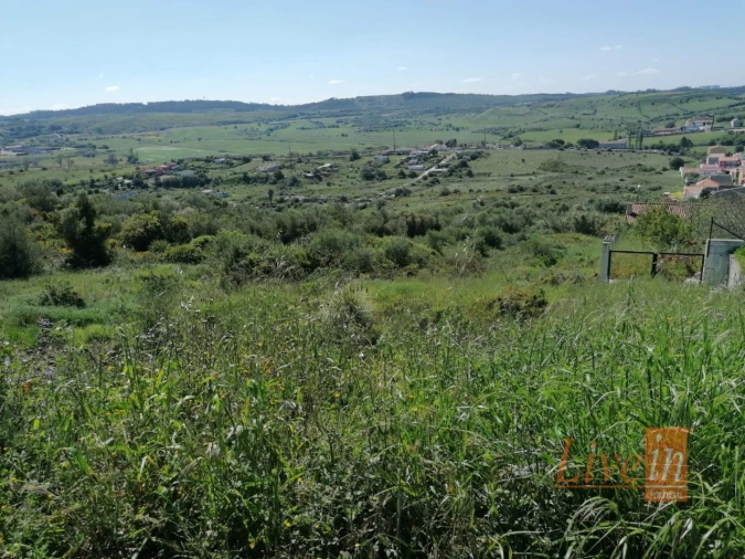 Terreno para Venda em Santa Maria e São Miguel, São Martinho, São Pedro Penaferrim Foto 2