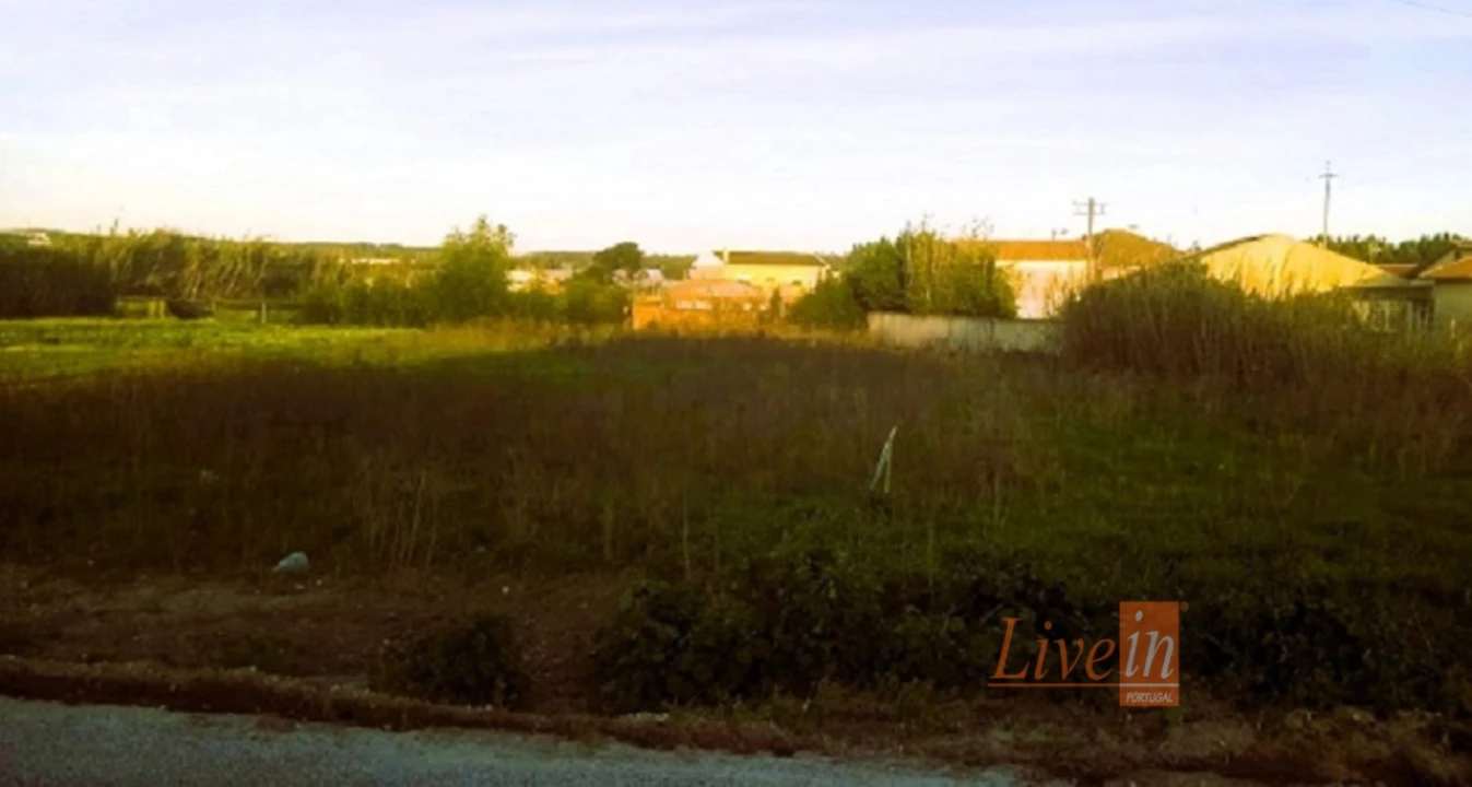 Terreno para Venda em Silveira Foto 5