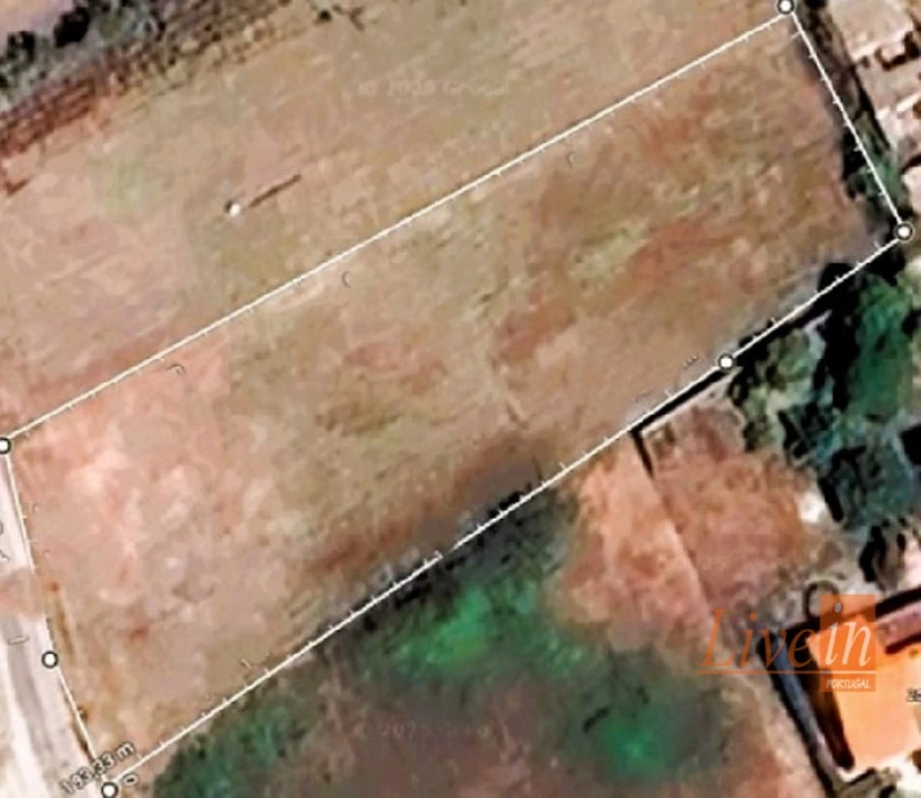 Terreno para Venda em Silveira Foto 7