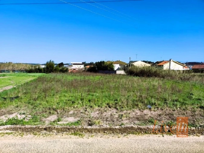 Terreno para Venda em Silveira Foto 2