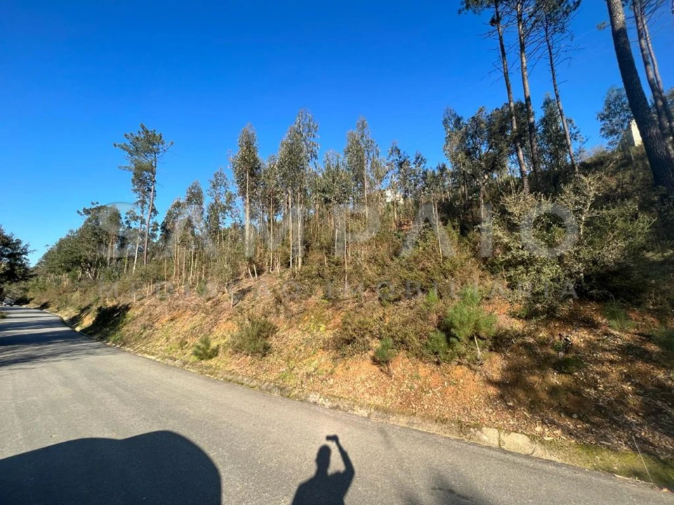Terreno para Venda em Fânzeres e São Pedro da Cova Foto 9