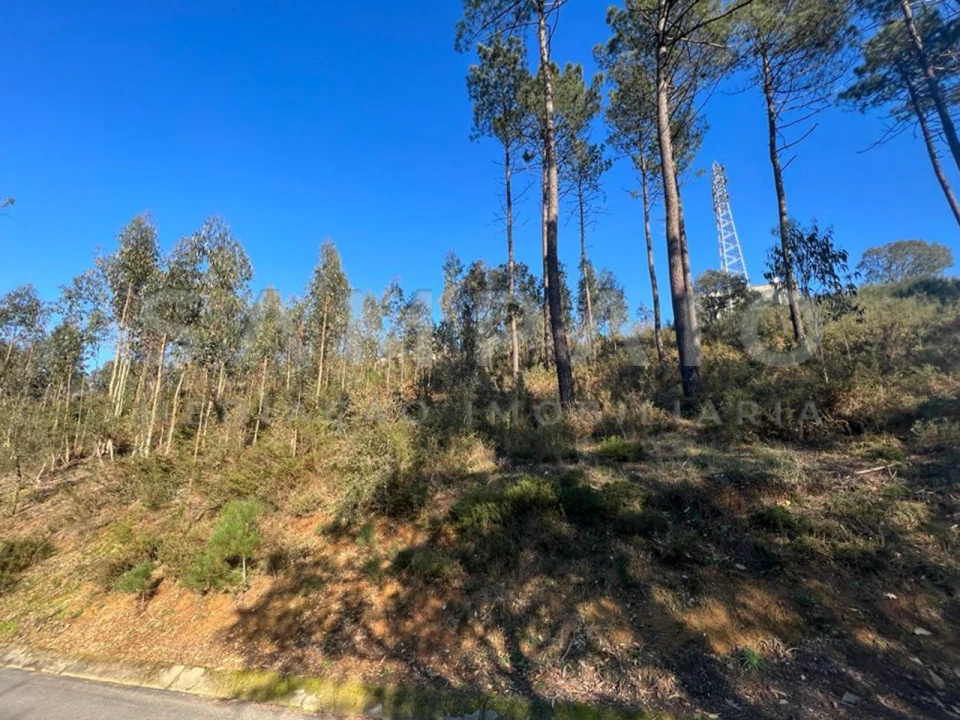 Terreno para Venda em Fânzeres e São Pedro da Cova Foto 11