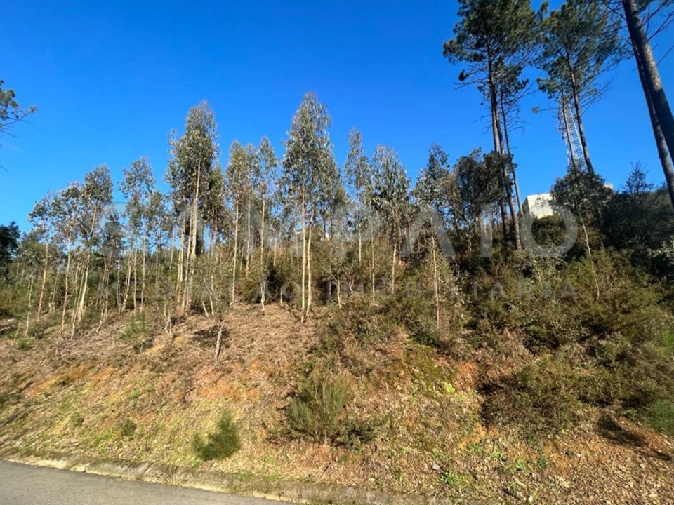 Terreno para Venda em Fânzeres e São Pedro da Cova Foto 12