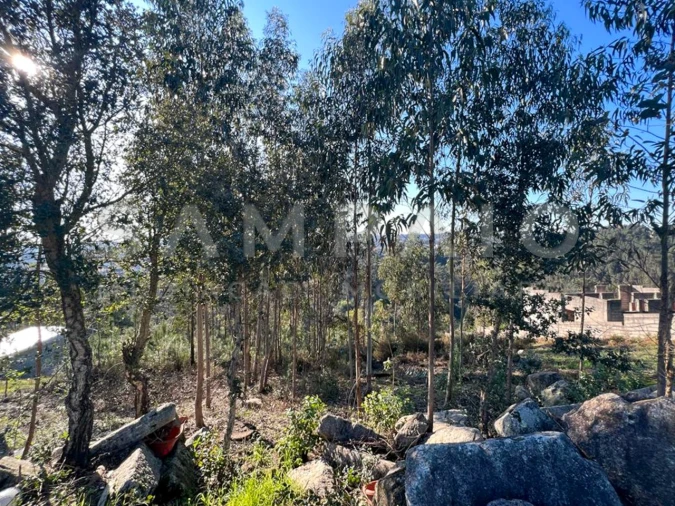 Terreno para Venda em Fânzeres e São Pedro da Cova Foto 4