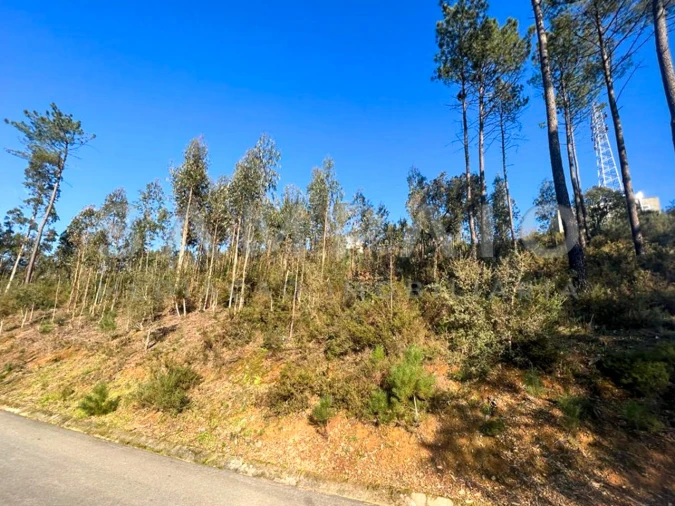 Terreno para Venda em Fânzeres e São Pedro da Cova Foto 8