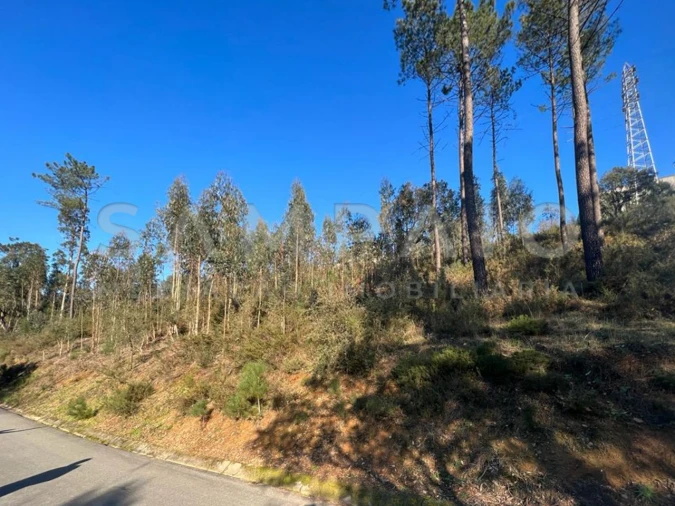 Terreno para Venda em Fânzeres e São Pedro da Cova Foto 10