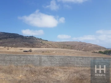 Terreno para Venda em Porto Santo