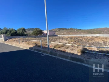 Terreno para Venda em Porto Santo