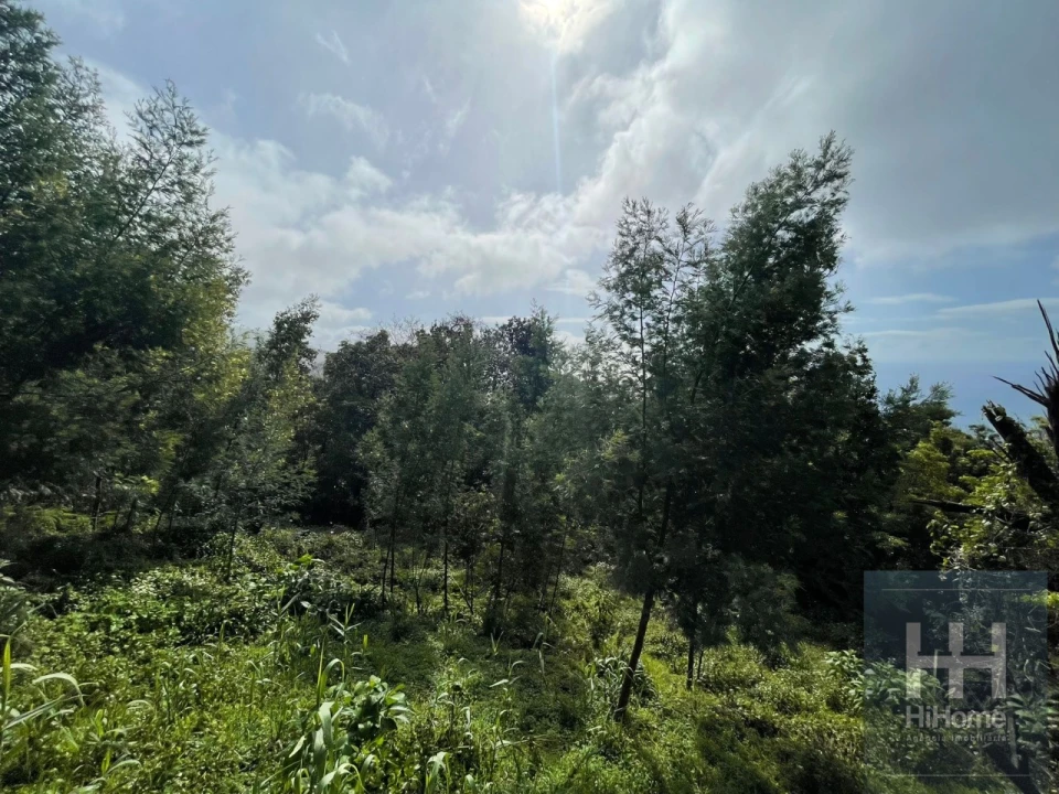 Terreno para Venda em Monte Foto 3