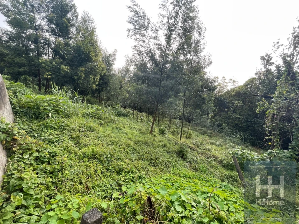 Terreno para Venda em Monte Foto 9