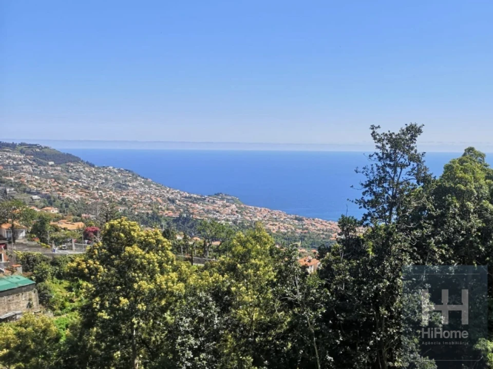 Terreno para Venda em Monte Foto 2