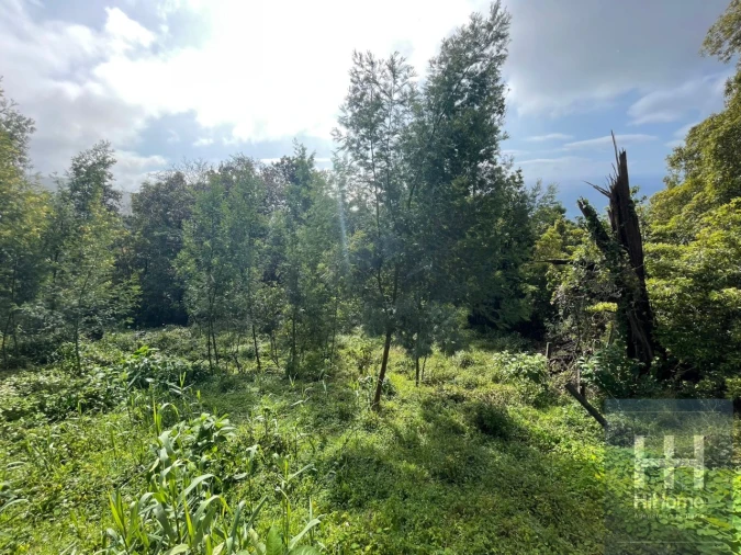 Terreno para Venda em Monte Foto 5