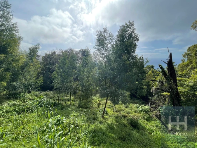 Terreno para Venda em Monte Foto 6
