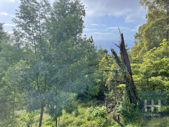 Terreno para Venda em Monte Foto 7
