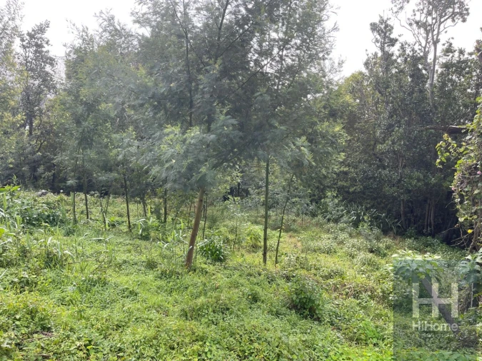 Terreno para Venda em Monte Foto 8