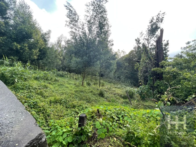 Terreno para Venda em Monte Foto 10