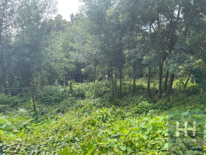 Terreno para Venda em Monte Foto 14