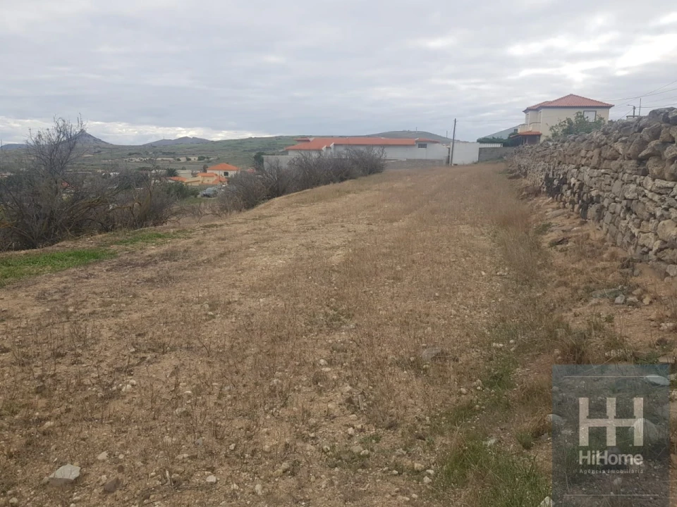 Terreno para Venda em Porto Santo Foto 11