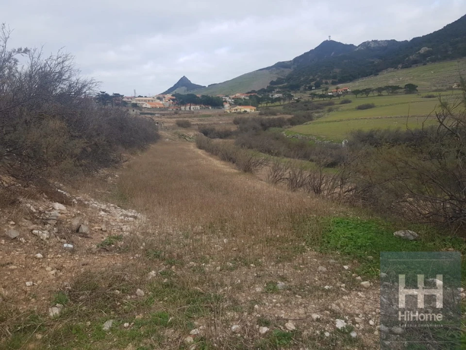 Terreno para Venda em Porto Santo Foto 13
