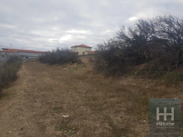 Terreno para Venda em Porto Santo