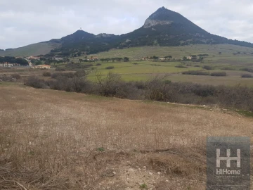 Terreno para Venda em Porto Santo