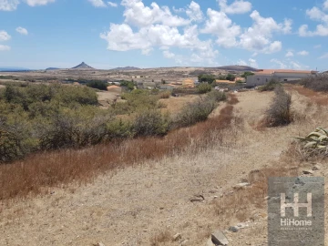 Terreno para Venda em Porto Santo