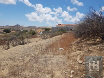 Terreno para Venda em Porto Santo