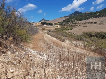Terreno para Venda em Porto Santo