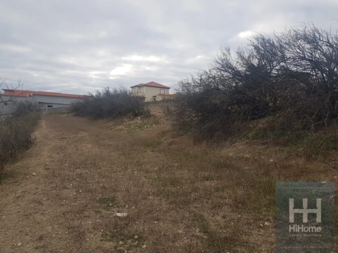Terreno para Venda em Porto Santo Foto 10
