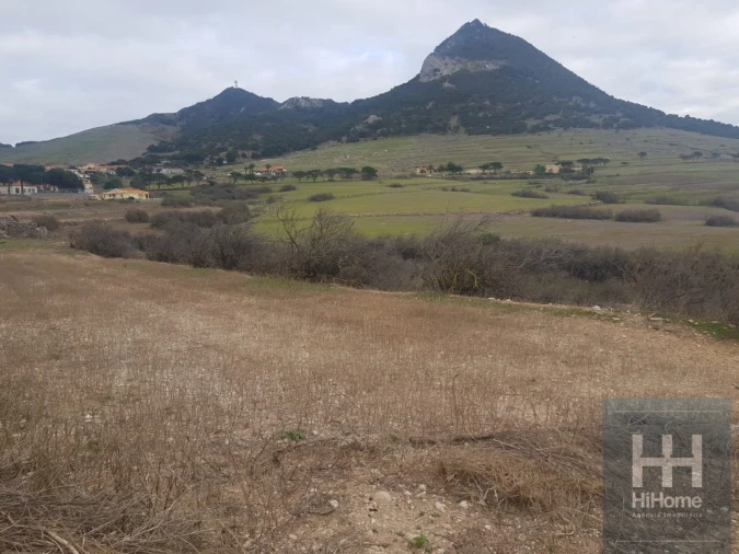 Terreno para Venda em Porto Santo Foto 12
