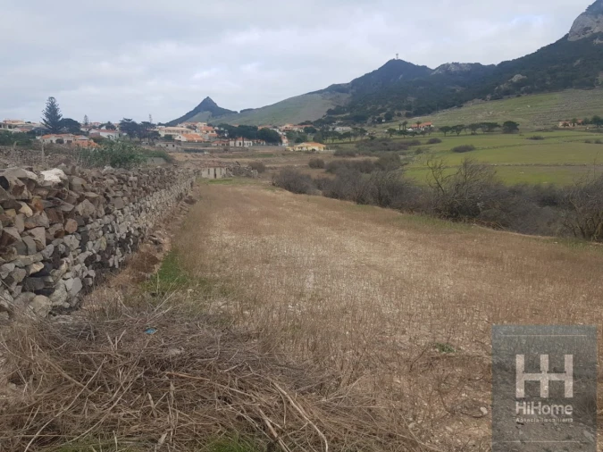 Terreno para Venda em Porto Santo Foto 8