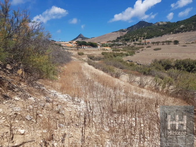 Terreno para Venda em Porto Santo Foto 3