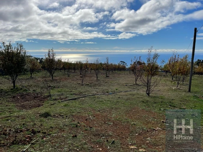 Terreno para Venda em Prazeres Foto 13