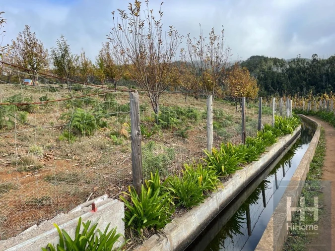 Terreno para Venda em Prazeres Foto 14