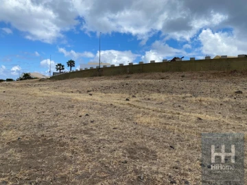 Terreno para Venda em Porto Santo