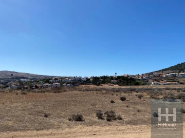 Terreno para Venda em Porto Santo