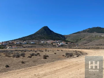 Terreno para Venda em Porto Santo
