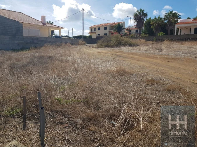 Terreno para Venda em Porto Santo Foto 8