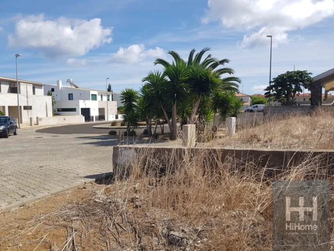Terreno para Venda em Porto Santo Foto 12