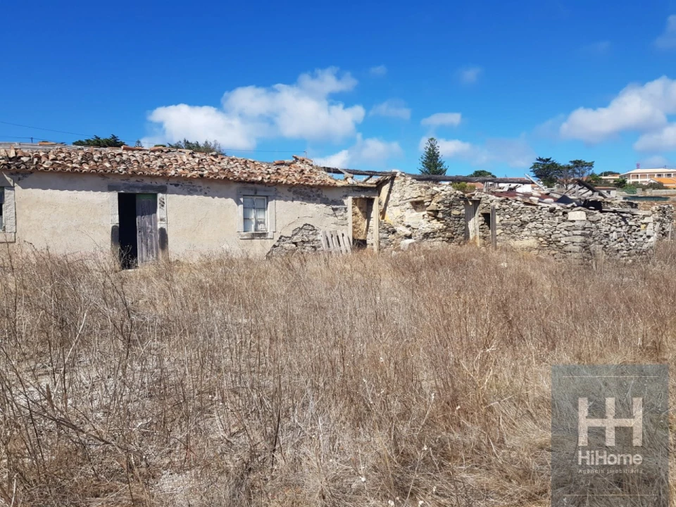 Terreno para Venda em Porto Santo Foto 15