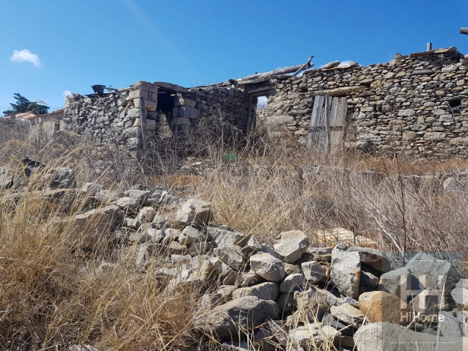 Terreno para Venda em Porto Santo Foto 21