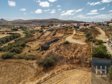 Terreno para Venda em Porto Santo